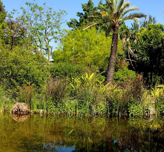 Jardín Botánico el Arboretos, Spain